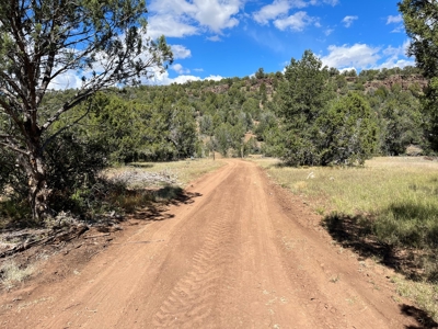 Very Secluded Northern Az Mountain Cabin On 38.7 Acres - image 19