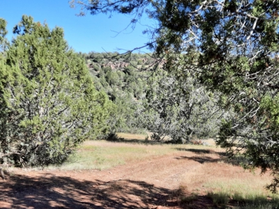Very Secluded Northern Az Mountain Cabin On 38.7 Acres - image 12