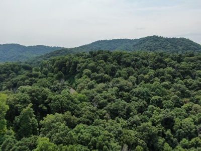 East TN Lot for Sale Gated Community on Cherokee Lake - image 23