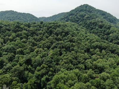 East TN Lot for Sale Gated Community on Cherokee Lake - image 24