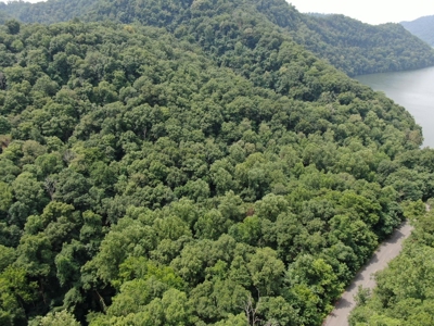 East TN Lot for Sale Gated Community on Cherokee Lake - image 25