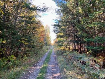 Maine Off-grid Country Home - image 44