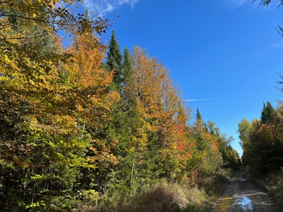 Maine Off-grid Country Home - image 50