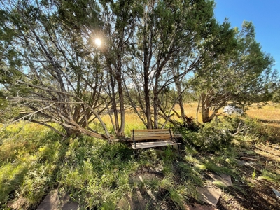 Beautiful Front Porch Views - image 2