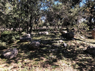 Farm In Eastern New Mexico - image 2