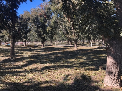 Farm In Eastern New Mexico - image 4