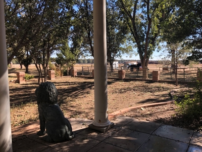 Farm In Eastern New Mexico - image 3