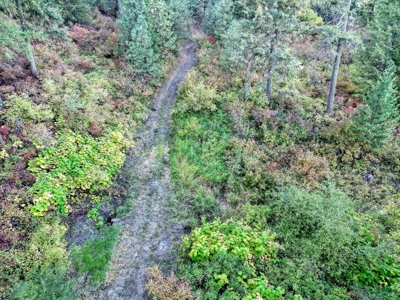Amazing Hunting and Recreational Land with Well! - image 9