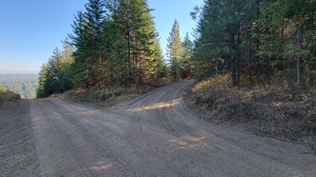 Amazing Hunting and Recreational Land with Well! - image 12