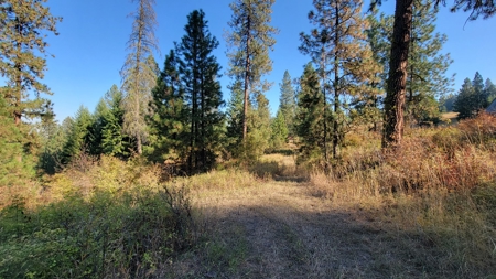 Amazing Hunting and Recreational Land with Well! - image 16