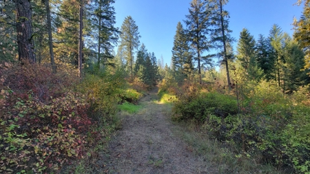 Amazing Hunting and Recreational Land with Well! - image 11