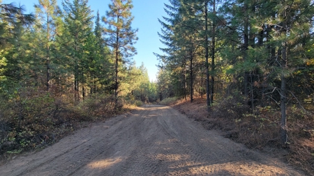 Amazing Hunting and Recreational Land with Well! - image 14