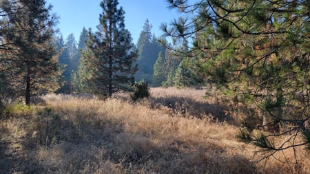 Amazing Hunting and Recreational Land with Well! - image 18