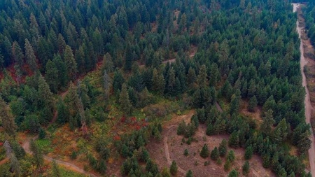 Amazing Hunting and Recreational Land with Well! - image 3