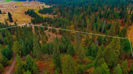 Amazing Hunting and Recreational Land with Well! - image 5