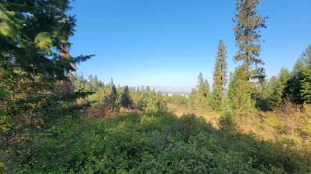 Amazing Hunting and Recreational Land with Well! - image 17