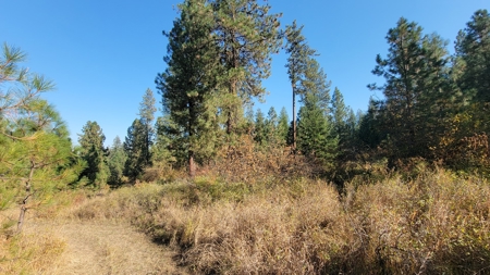 Amazing Hunting and Recreational Land with Well! - image 21