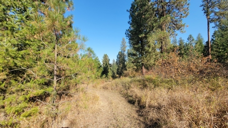 Amazing Hunting and Recreational Land with Well! - image 20