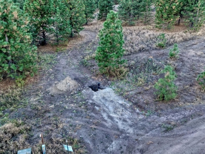 Amazing Hunting and Recreational Land with Well! - image 10