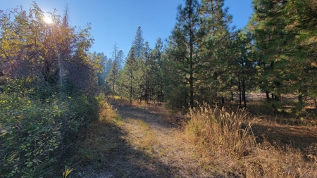Amazing Hunting and Recreational Land with Well! - image 23