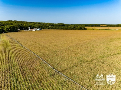 Tract #3 - Irrigated Farmland near Junction City KS For Sale - image 15