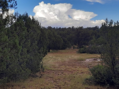 Very Secluded - image 11