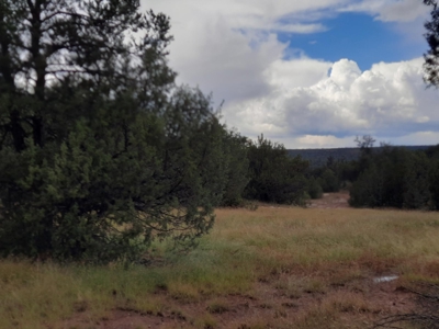 Very Secluded - image 4