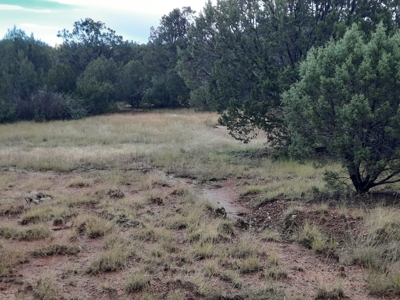 Very Secluded - image 5