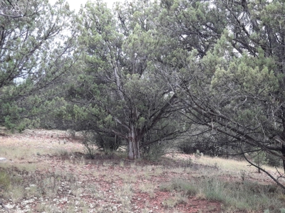 Very Secluded - image 12
