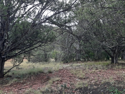 Very Secluded - image 9