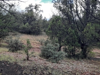 Very Secluded - image 10