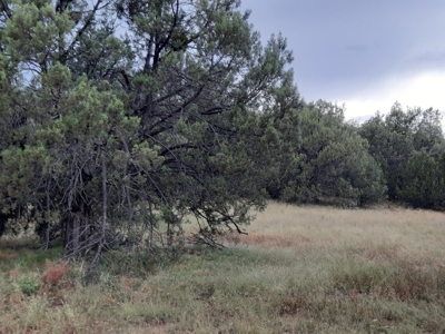 Very Secluded - image 2