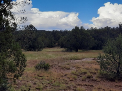 Very Secluded - image 1