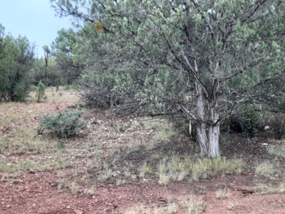 Very Secluded - image 7