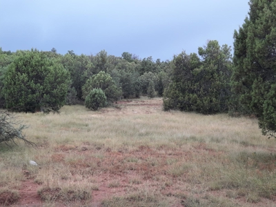 Very Secluded - image 3