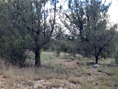 Very Secluded - image 6