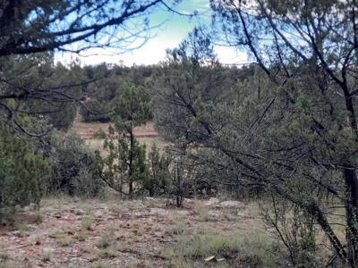 Very Secluded - image 8