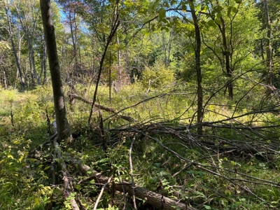Premium Hunting Farm - image 17