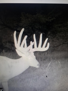 Premium Hunting Farm - image 41