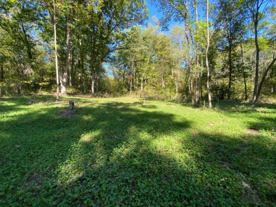 Premium Hunting Farm - image 30