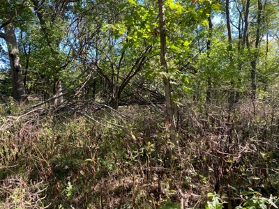 Premium Hunting Farm - image 19