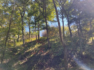 Premium Hunting Farm - image 31