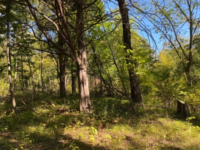 Premium Hunting Farm - image 16