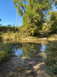 Premium Hunting Farm - image 27