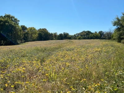 Premium Hunting Farm - image 28