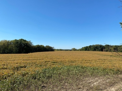 Premium Hunting Farm - image 21