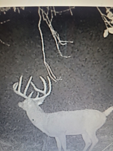 Premium Hunting Farm - image 40