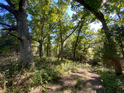 Premium Hunting Farm - image 12