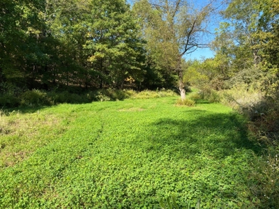 Premium Hunting Farm - image 22