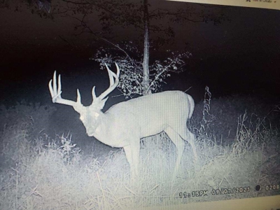 Premium Hunting Farm - image 43